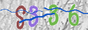 CAPTCHA 驗證圖片