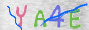 CAPTCHA 驗證圖片
