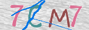 CAPTCHA 驗證圖片