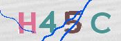 CAPTCHA 驗證圖片