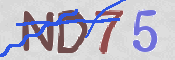 CAPTCHA 驗證圖片