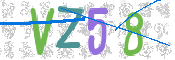 CAPTCHA 驗證圖片