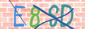 CAPTCHA 驗證圖片
