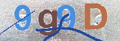 CAPTCHA 驗證圖片