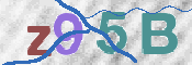 CAPTCHA 驗證圖片