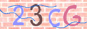 CAPTCHA 驗證圖片