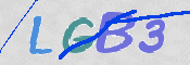 CAPTCHA 驗證圖片