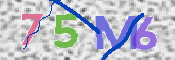 CAPTCHA 驗證圖片