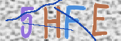 CAPTCHA 驗證圖片