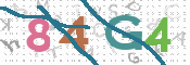 CAPTCHA 驗證圖片