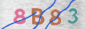CAPTCHA 驗證圖片