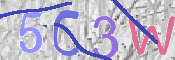 CAPTCHA 驗證圖片