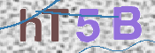 CAPTCHA 驗證圖片