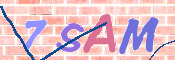 CAPTCHA 驗證圖片