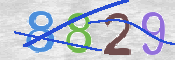 CAPTCHA 驗證圖片