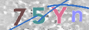 CAPTCHA 驗證圖片