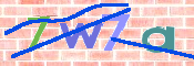 CAPTCHA 驗證圖片