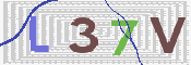 CAPTCHA 驗證圖片