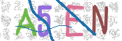 CAPTCHA 驗證圖片