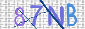 CAPTCHA 驗證圖片