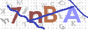 CAPTCHA 驗證圖片