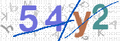 CAPTCHA 驗證圖片