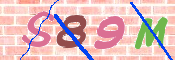 CAPTCHA 驗證圖片