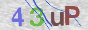 CAPTCHA 驗證圖片