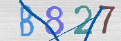 CAPTCHA 驗證圖片