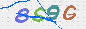 CAPTCHA 驗證圖片