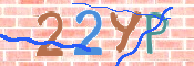 CAPTCHA 驗證圖片