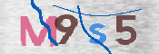 CAPTCHA 驗證圖片