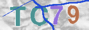 CAPTCHA 驗證圖片