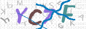 CAPTCHA 驗證圖片