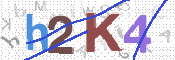 CAPTCHA 驗證圖片