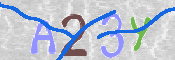 CAPTCHA 驗證圖片