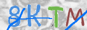 CAPTCHA 驗證圖片