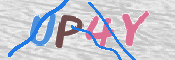 CAPTCHA 驗證圖片
