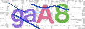 CAPTCHA 驗證圖片