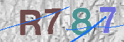 CAPTCHA 驗證圖片