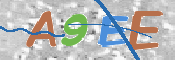 CAPTCHA 驗證圖片