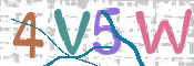 CAPTCHA 驗證圖片