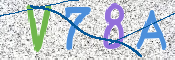 CAPTCHA 驗證圖片
