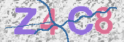 CAPTCHA 驗證圖片