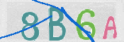 CAPTCHA 驗證圖片