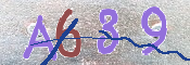 CAPTCHA 驗證圖片