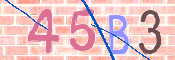 CAPTCHA 驗證圖片