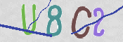 CAPTCHA 驗證圖片