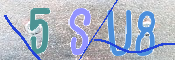CAPTCHA 驗證圖片