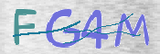 CAPTCHA 驗證圖片